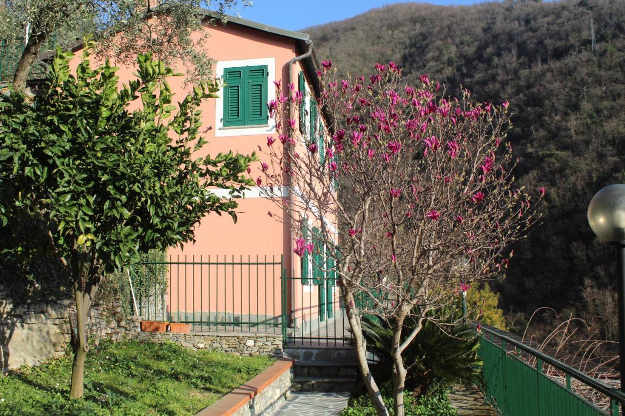 Casa Laura Villa Zoagli Buitenkant foto